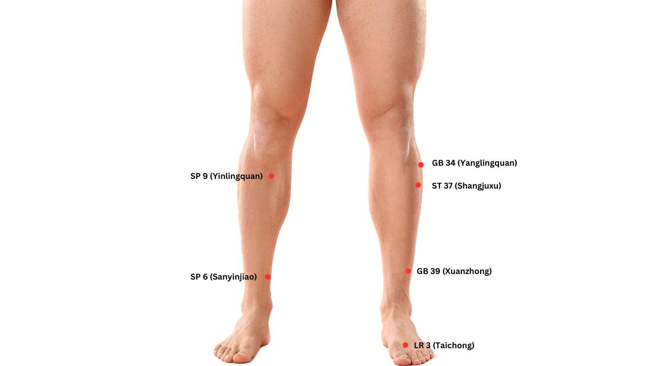 leg acupuncture points for parkinsons disease 1