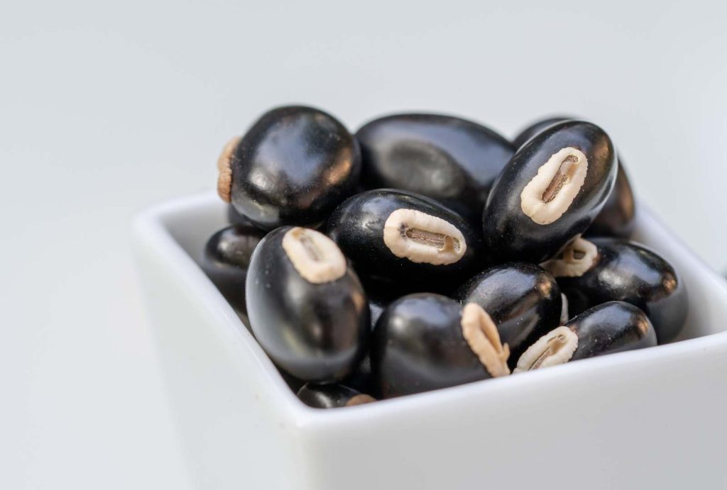 mucuna pruriens parkinson's velvet bean
